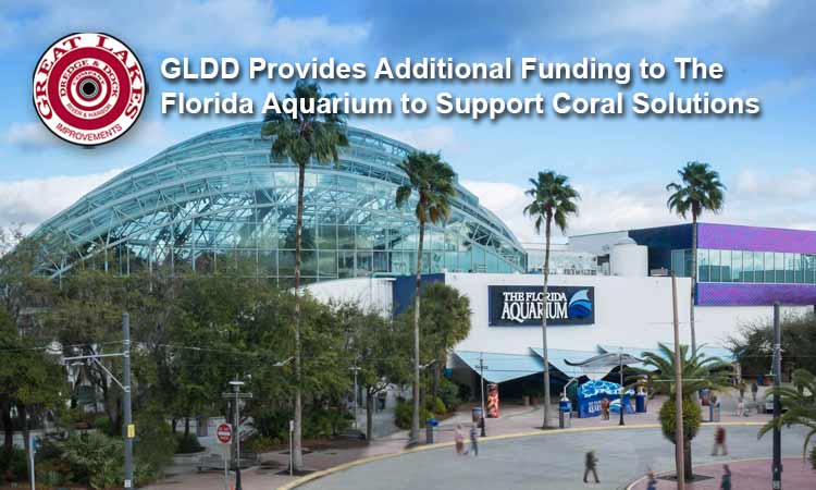 Great Lakes Provides Additional Funding to The Florida Aquarium to Support Coral Solutions